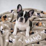 Névre szóló kutyatakaró – mopsz és francia bulldog