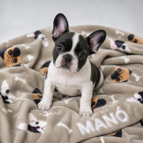 Névre szóló kutyatakaró – mopsz és francia bulldog